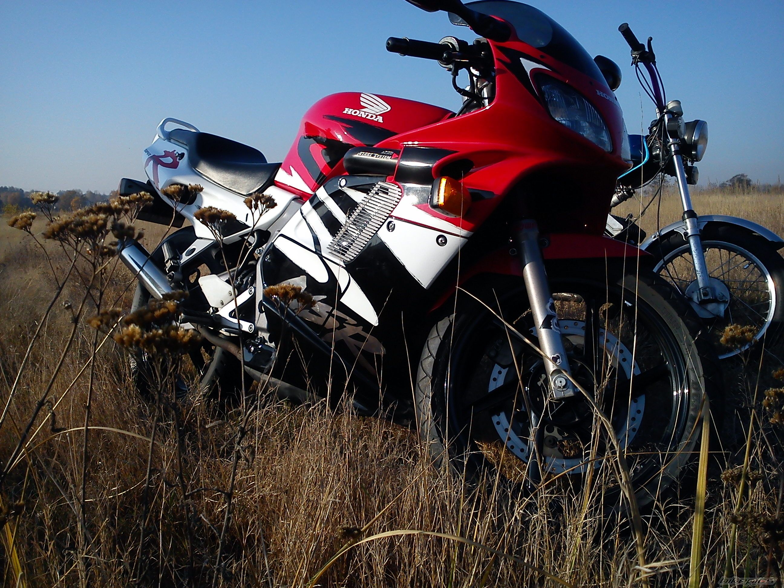 Photo 2298257