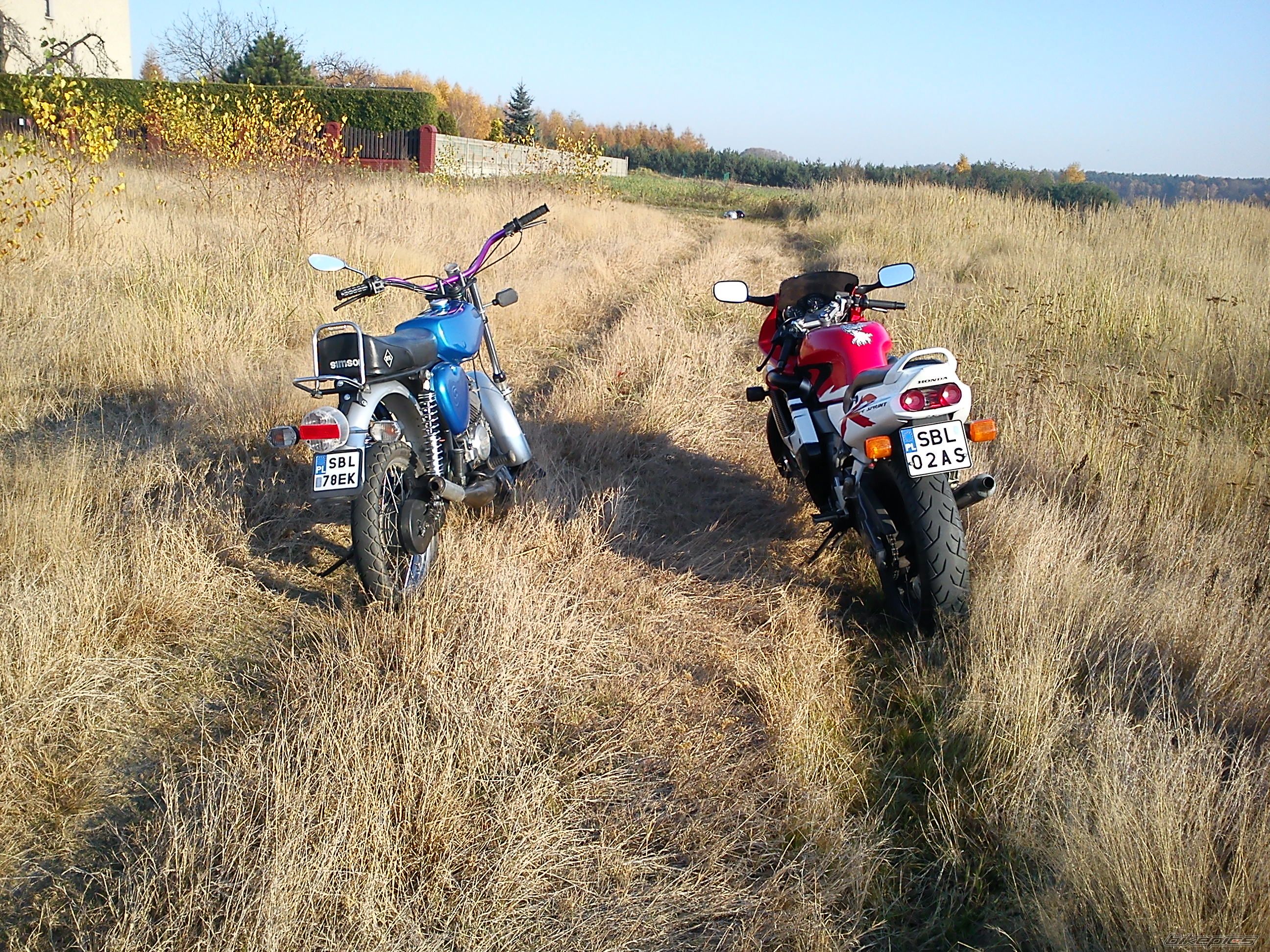 Photo 2298260