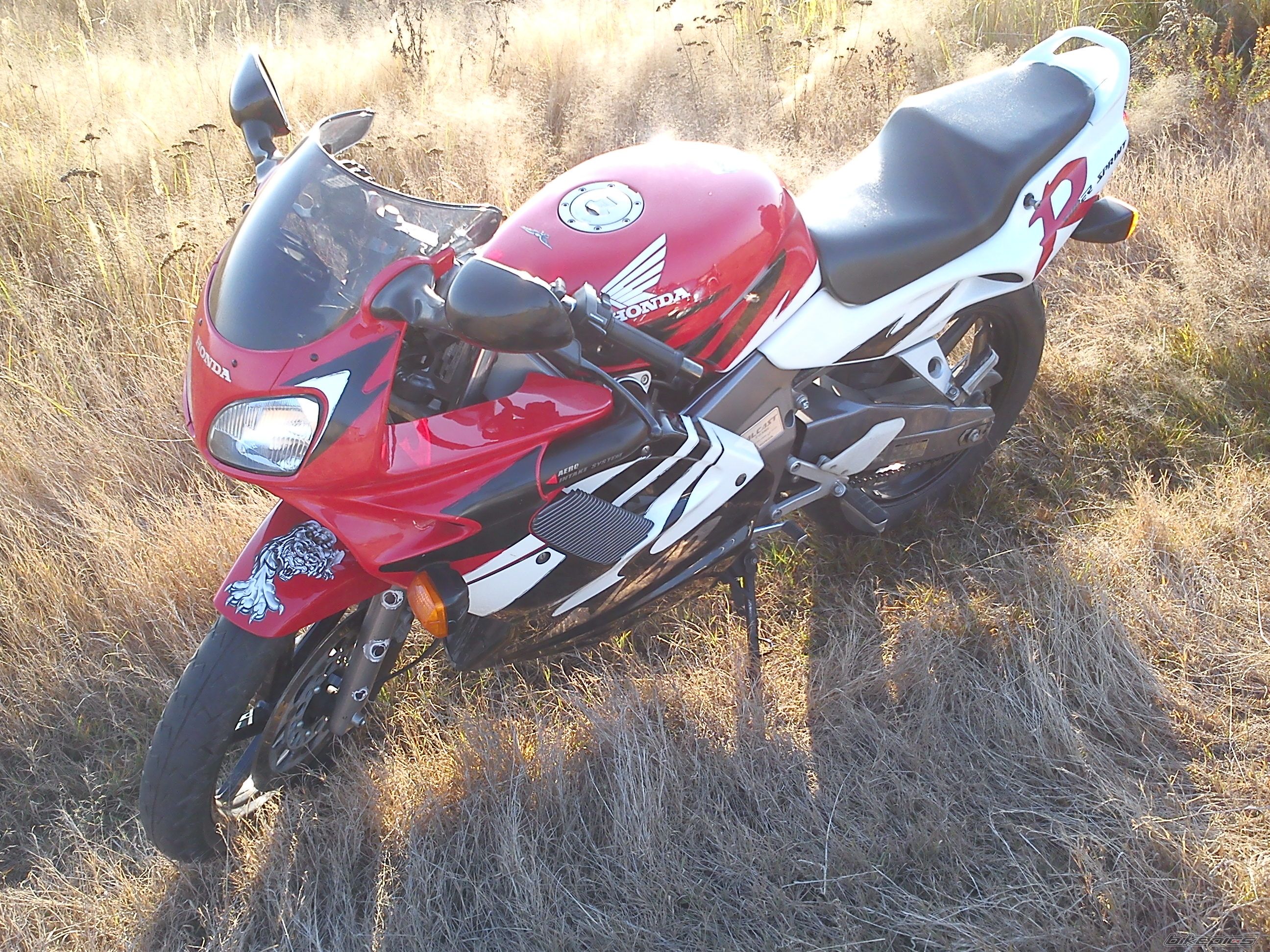 Photo 2298265