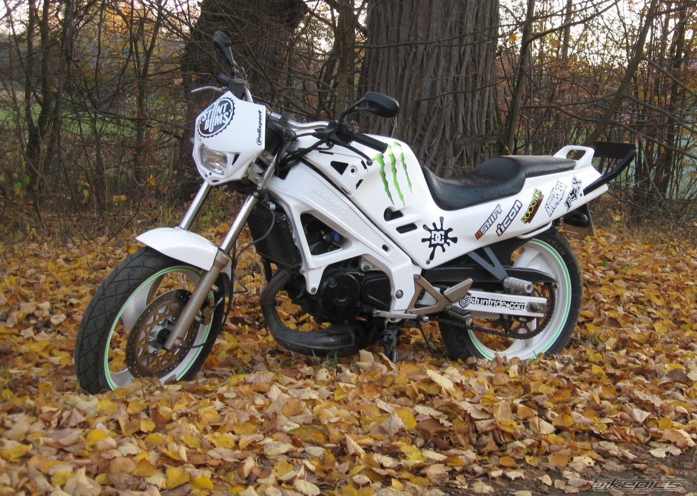 Photo 2298270
