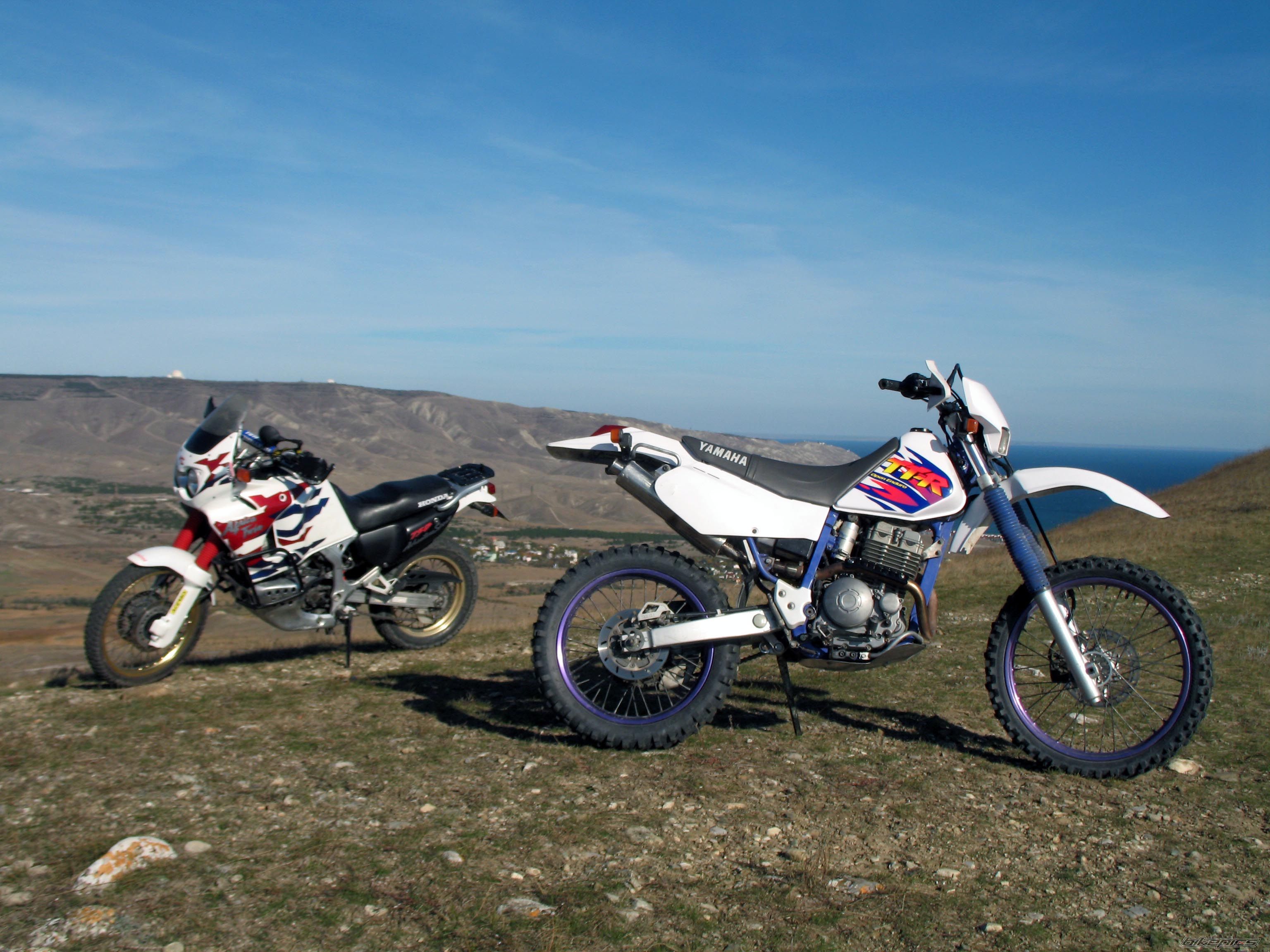Photo 2298287