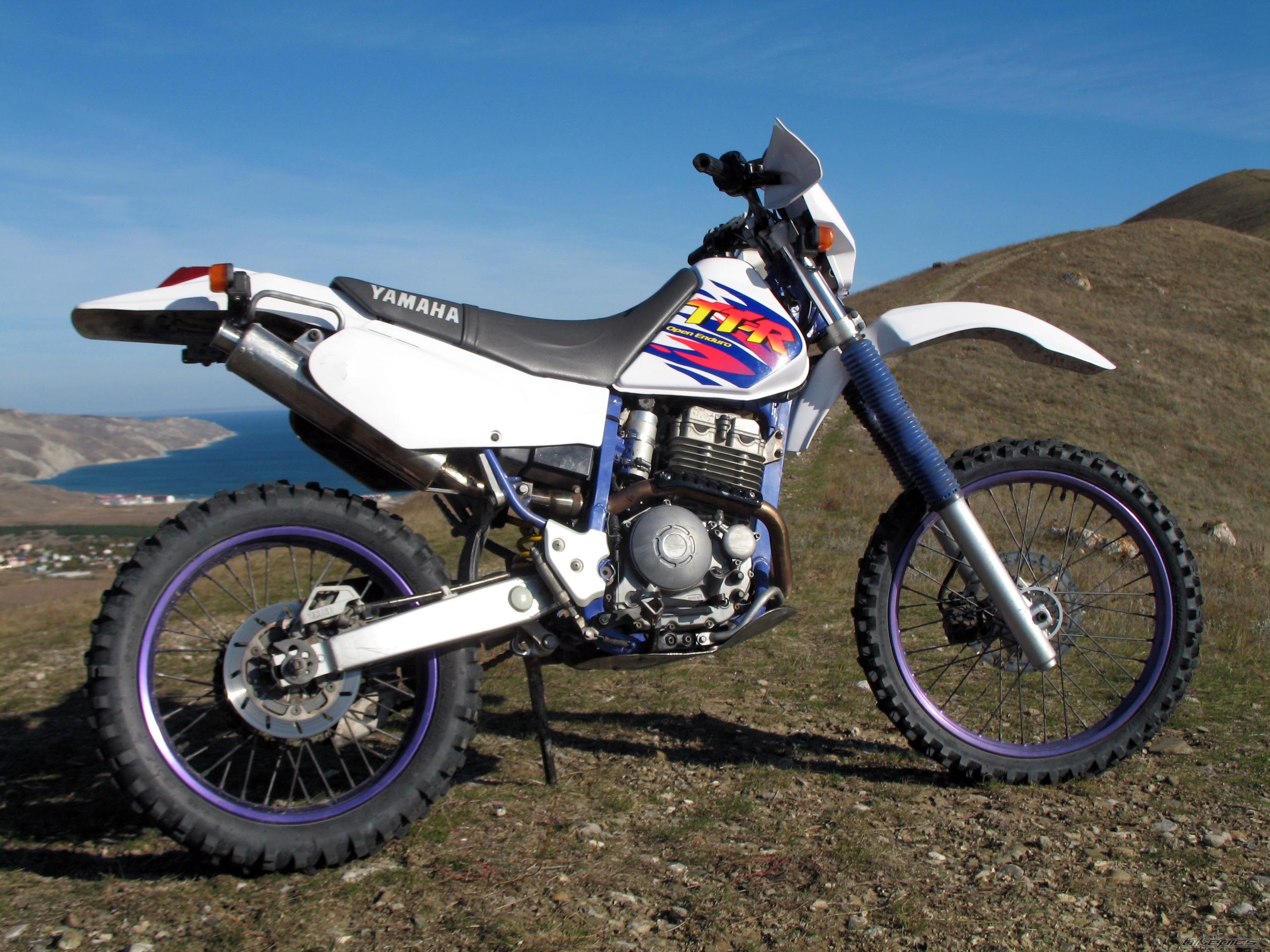 Photo 2298289