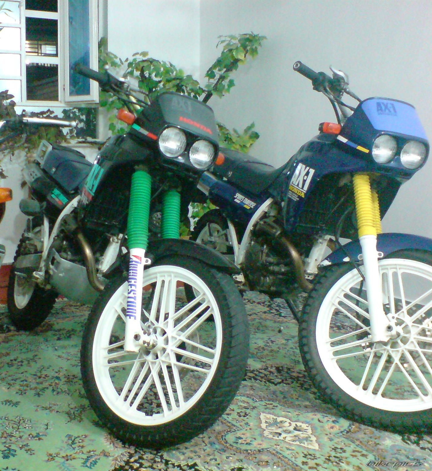 Photo 2298293