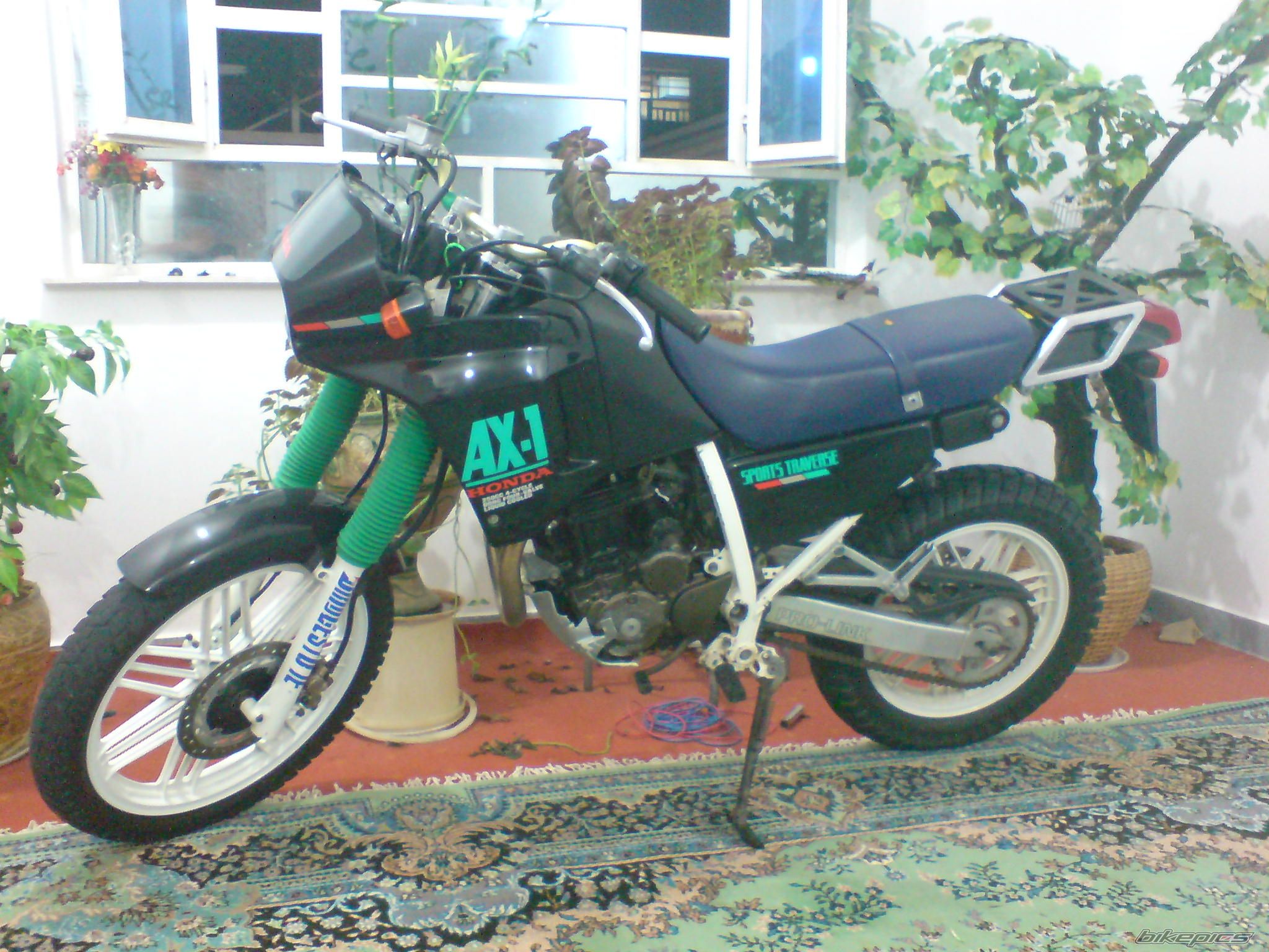 Photo 2298298