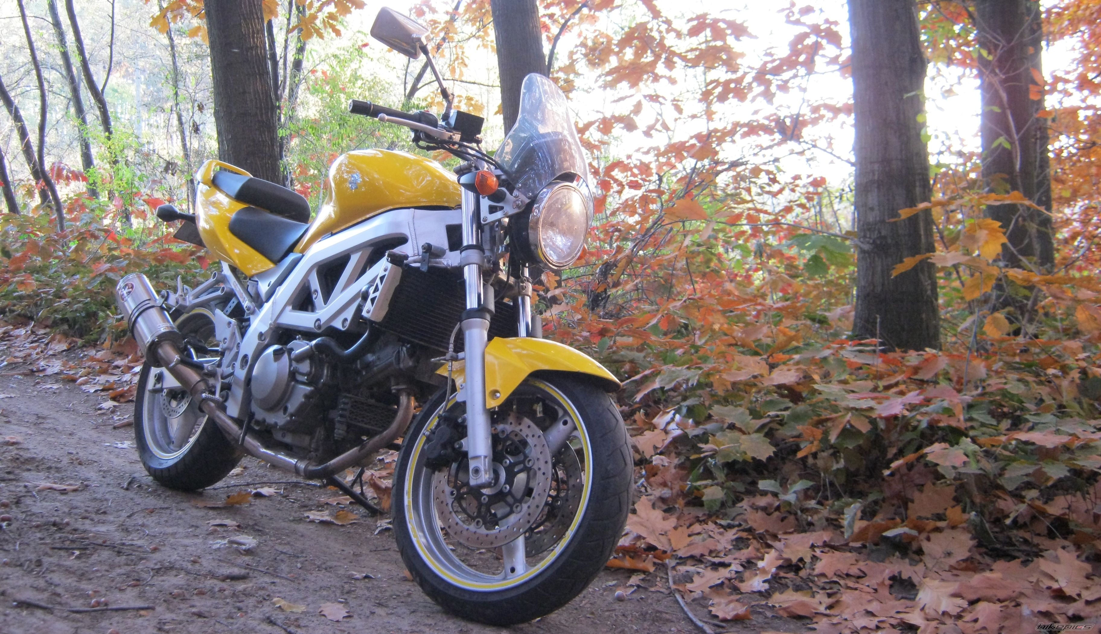 Bike Photo 2298319