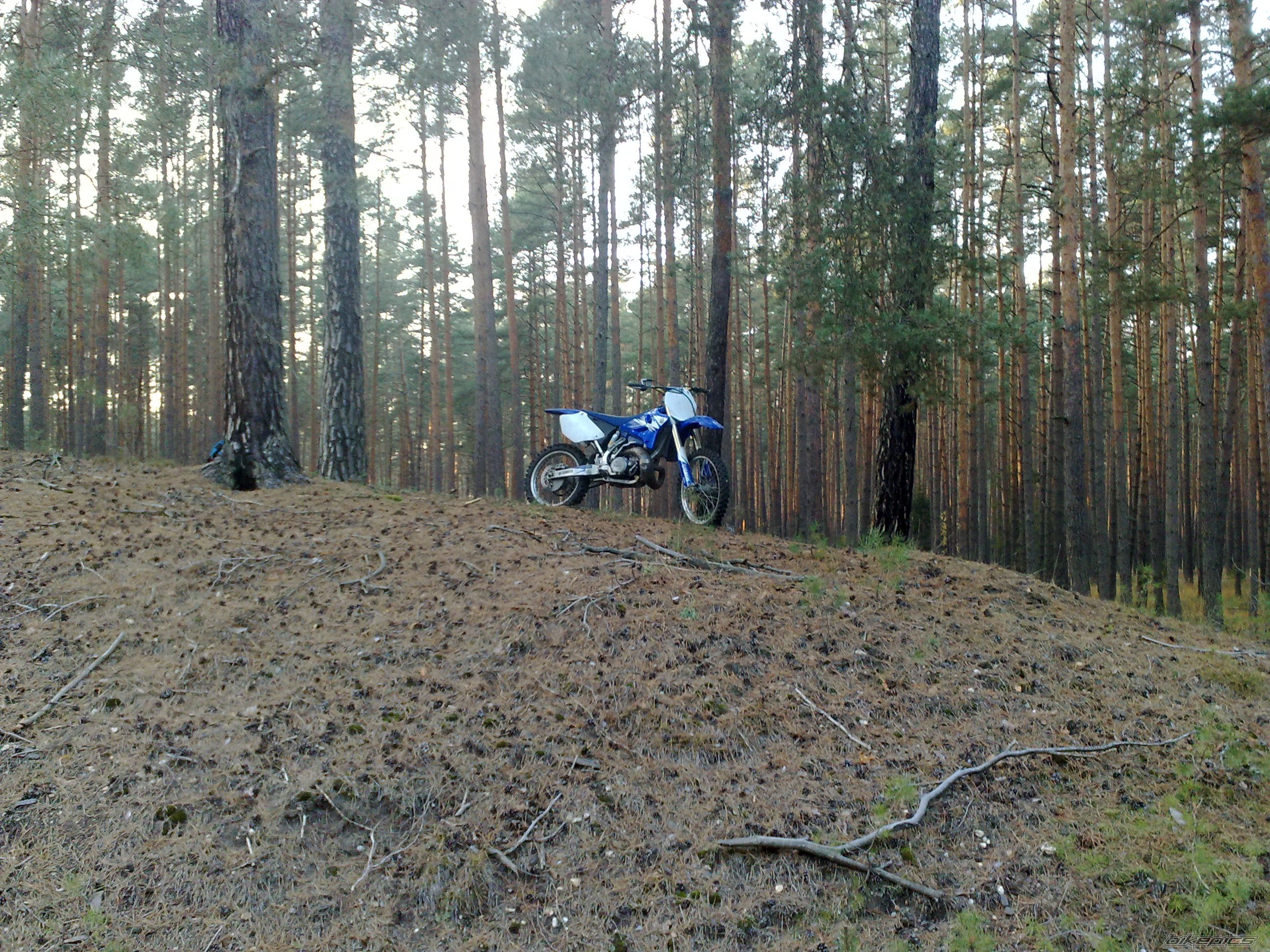 Photo 2298339