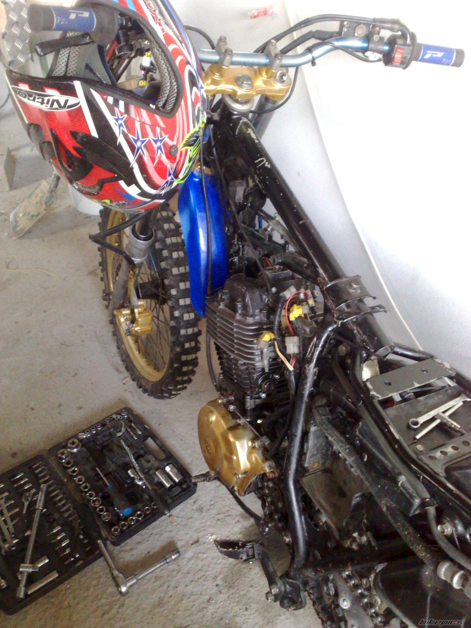 Photo 2298370