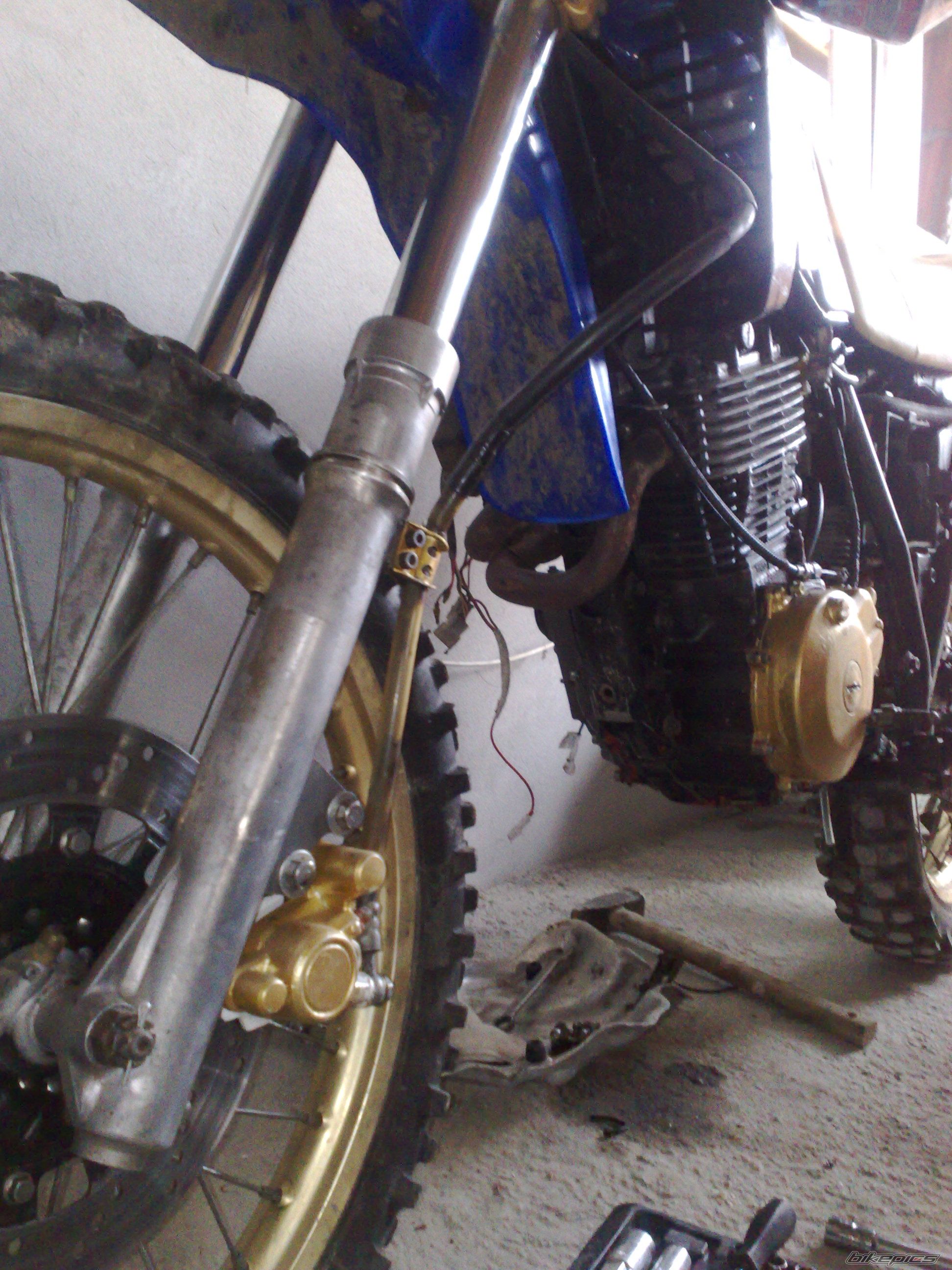 Photo 2298374