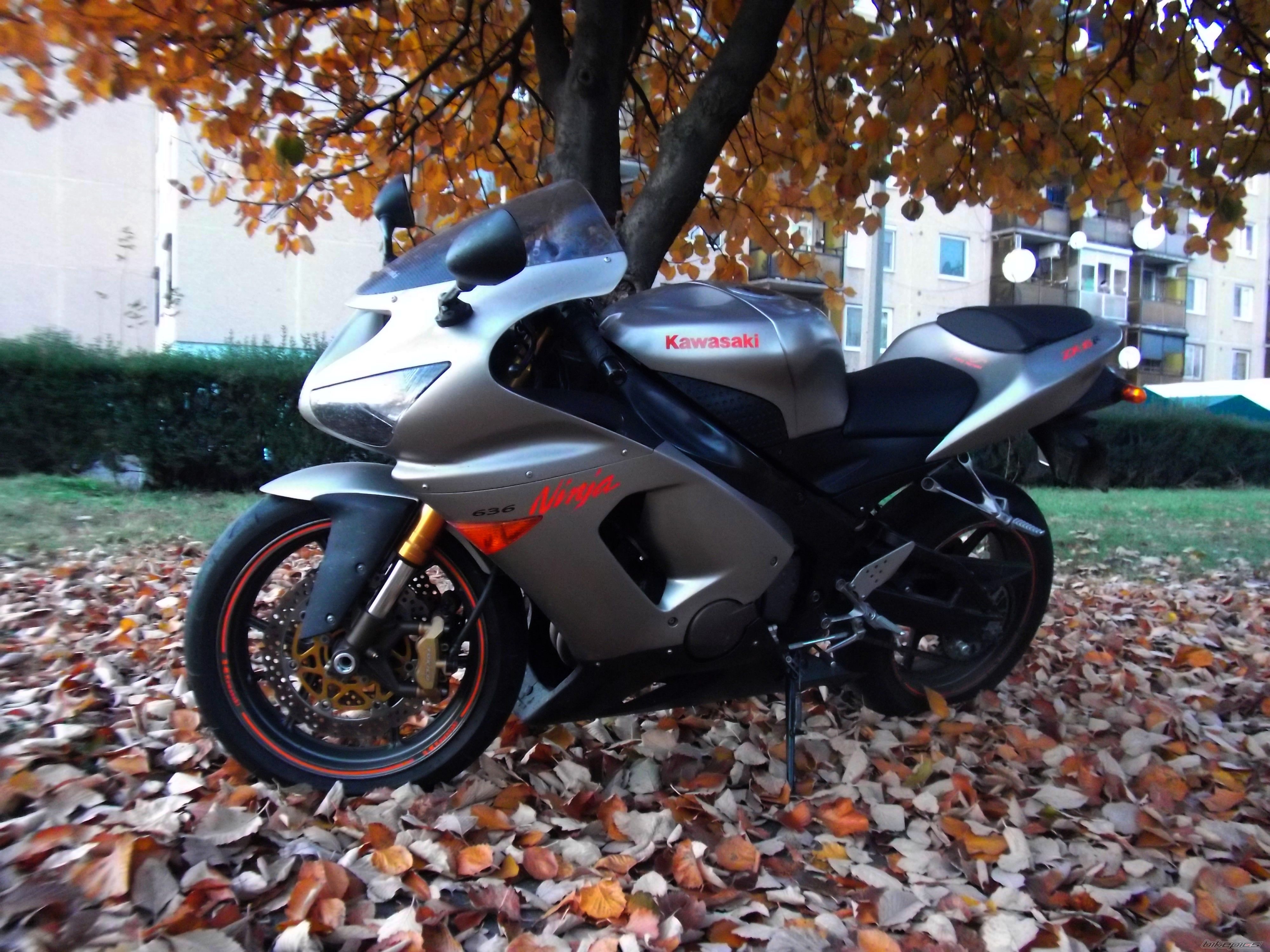 Bike Photo 2298392