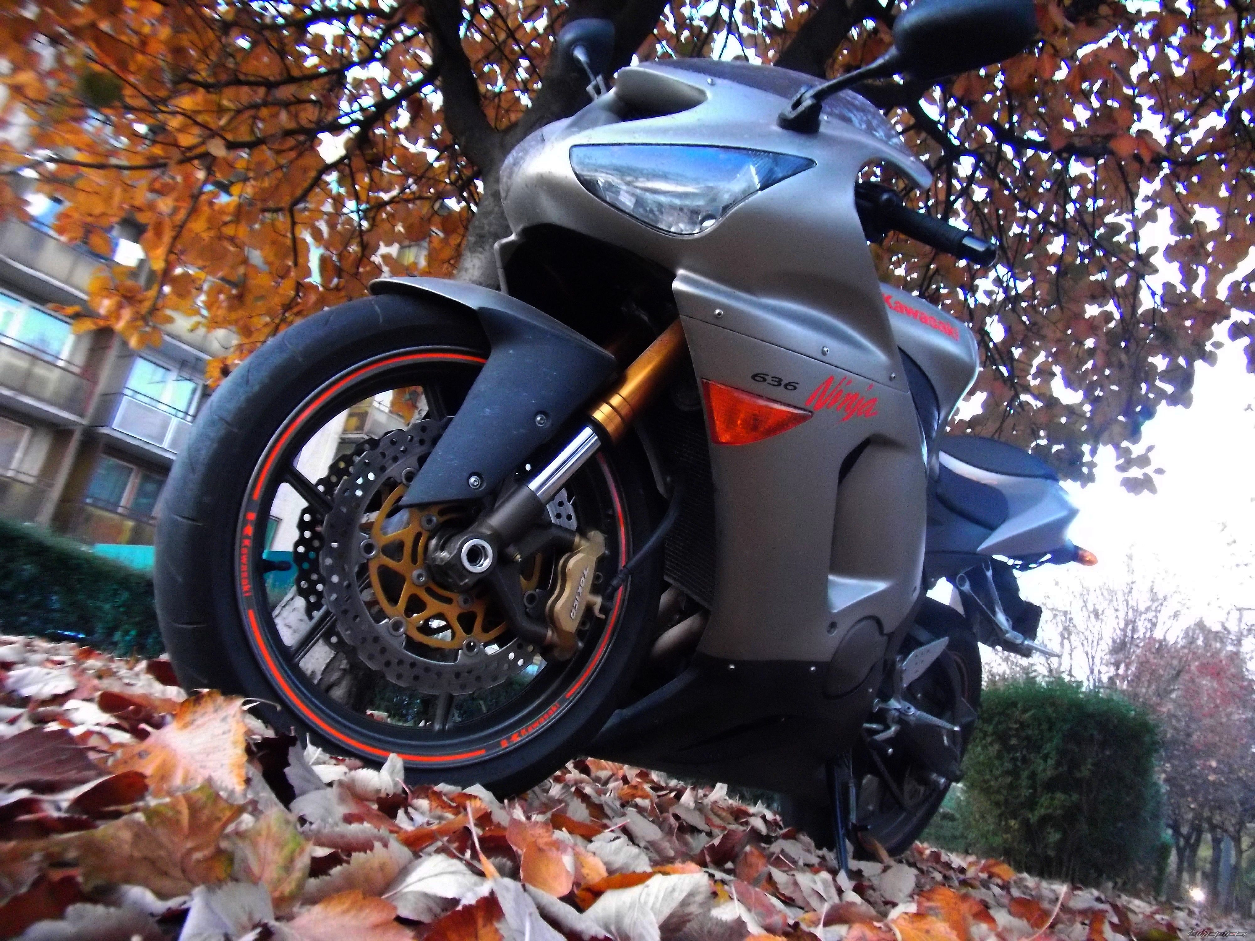 Bike Photo 2298393