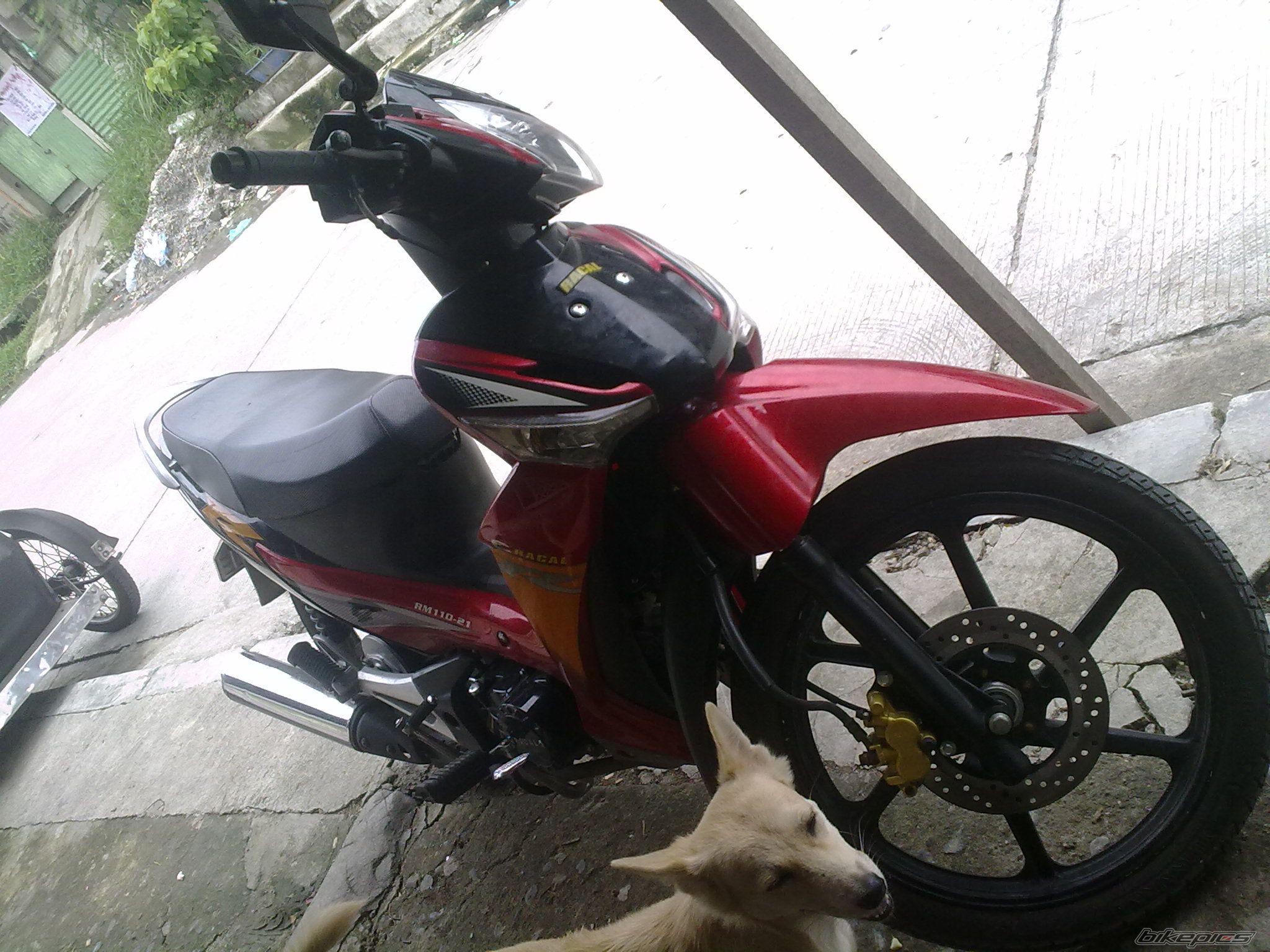 Bike Photo 2298430