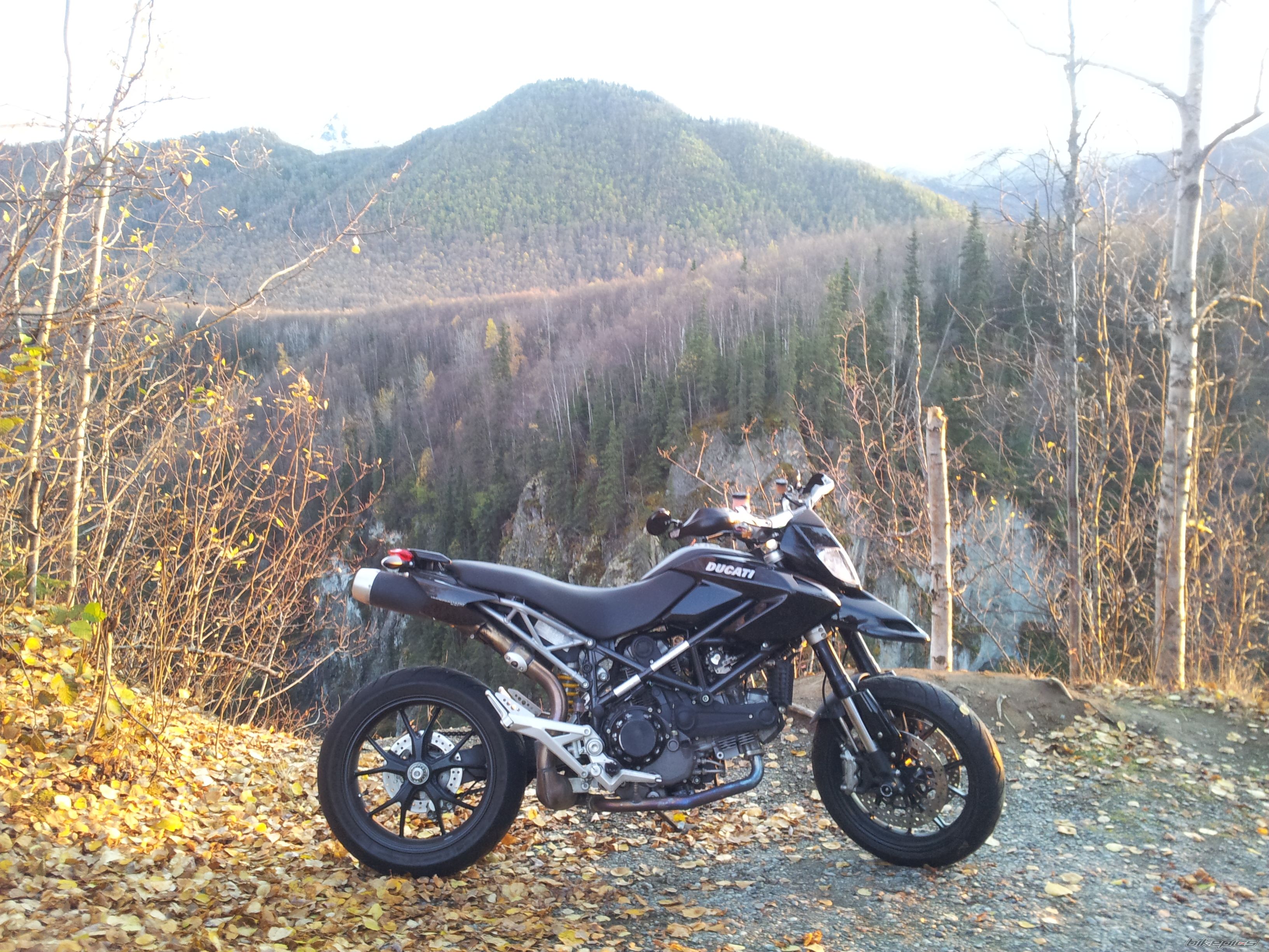 Photo 2298492