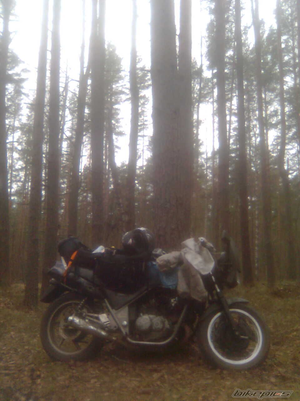Photo 2298519