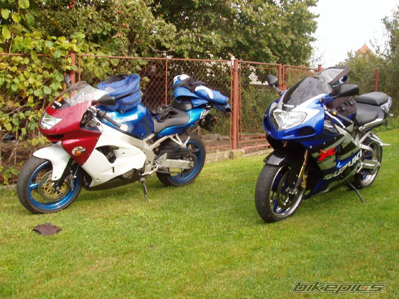 Photo 229854