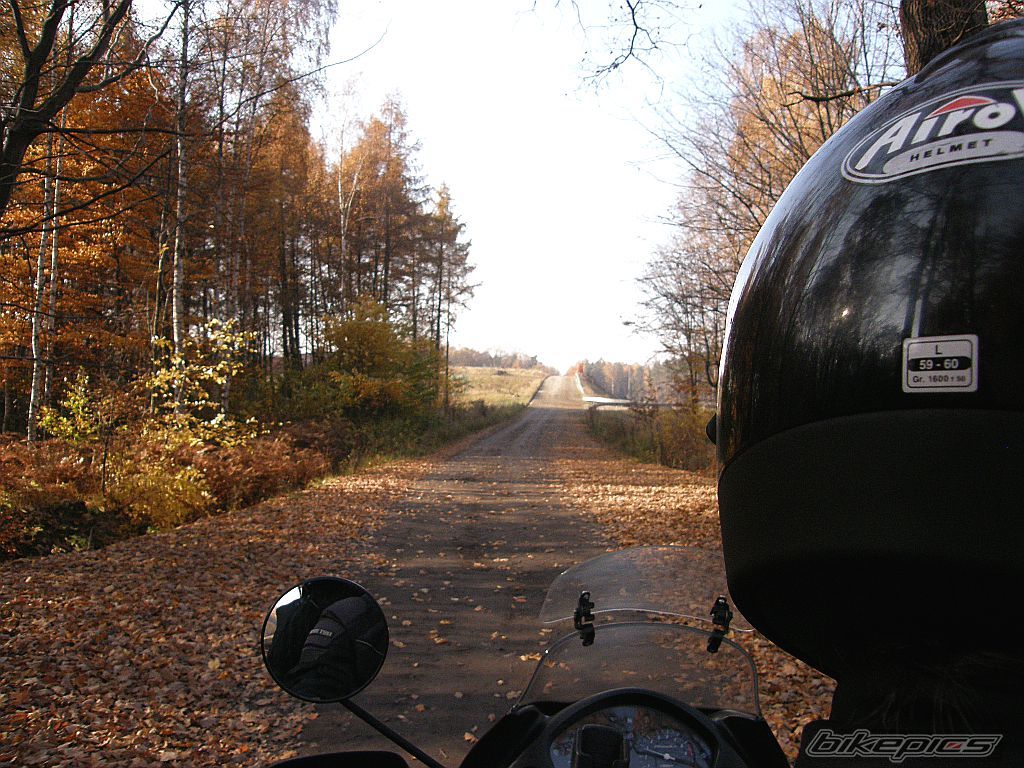 Photo 2298557