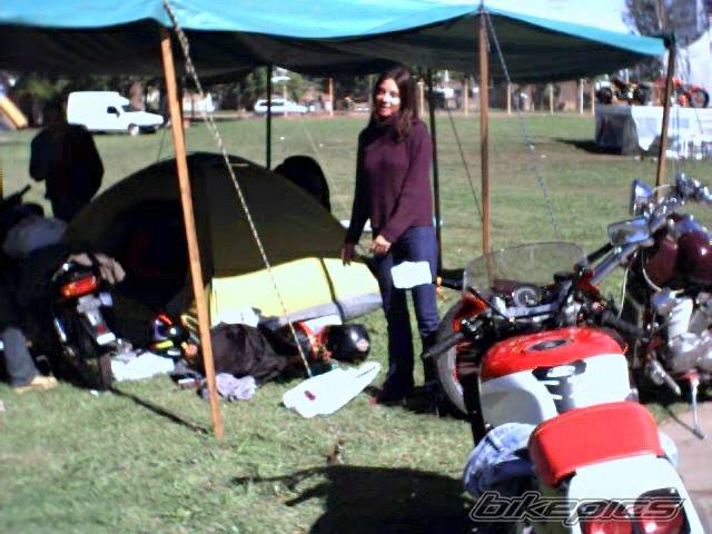 Bike Photo 229856