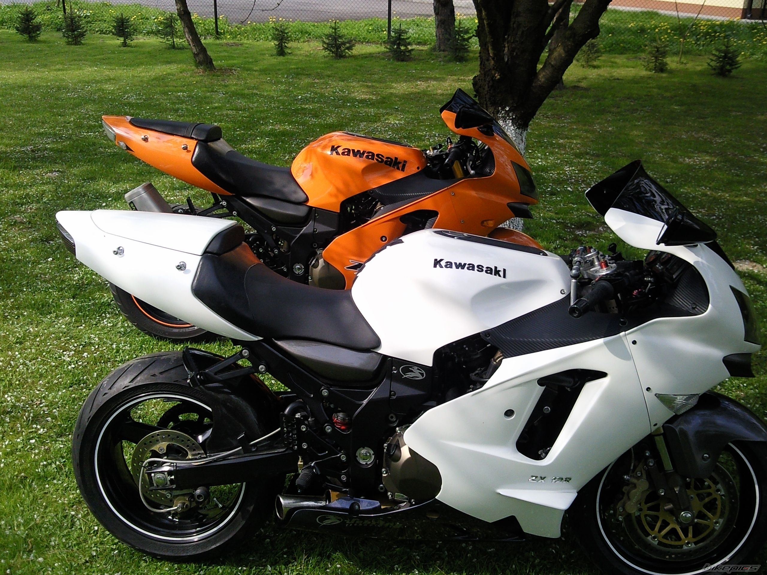 Photo 2298601