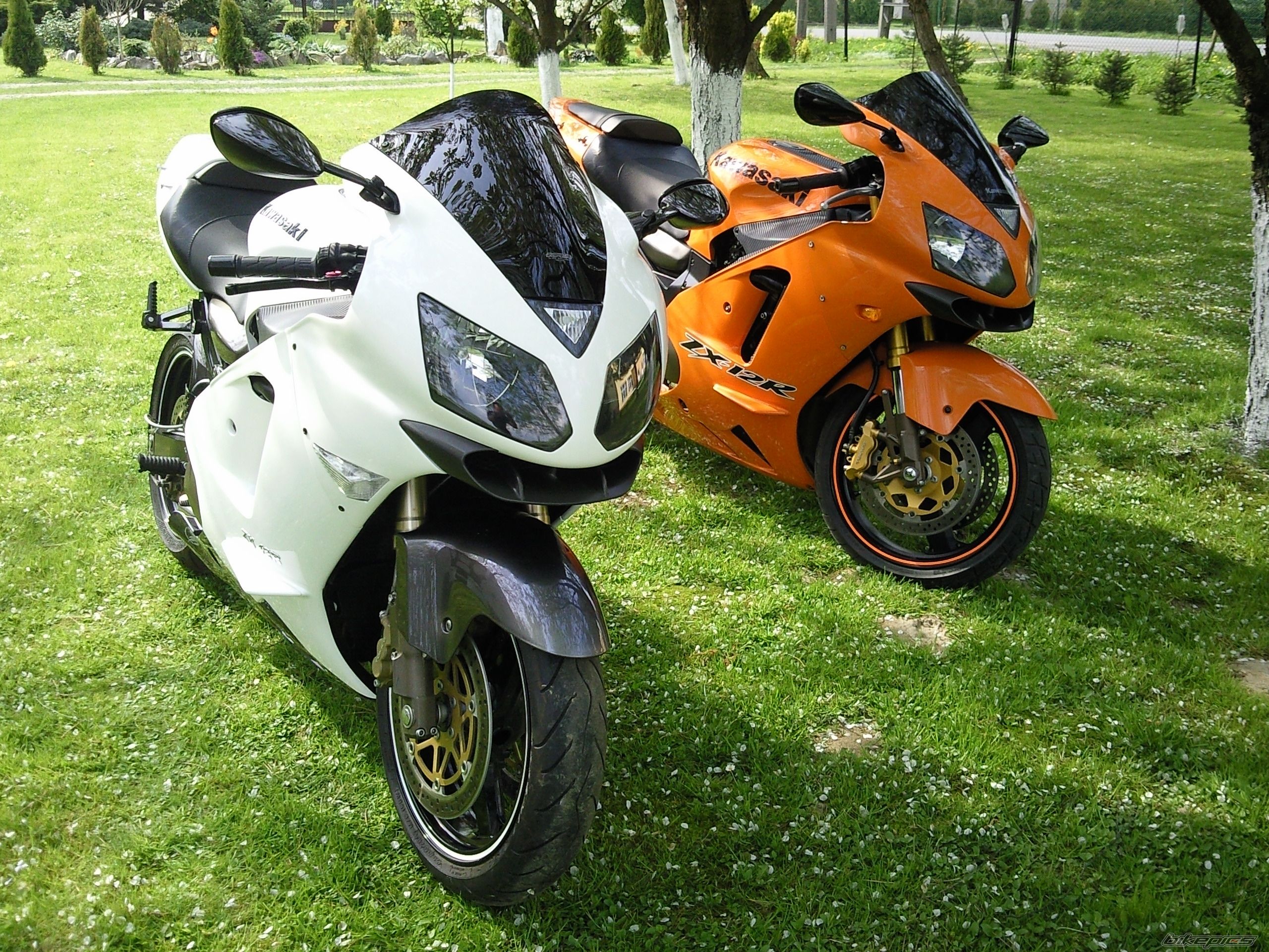Photo 2298602