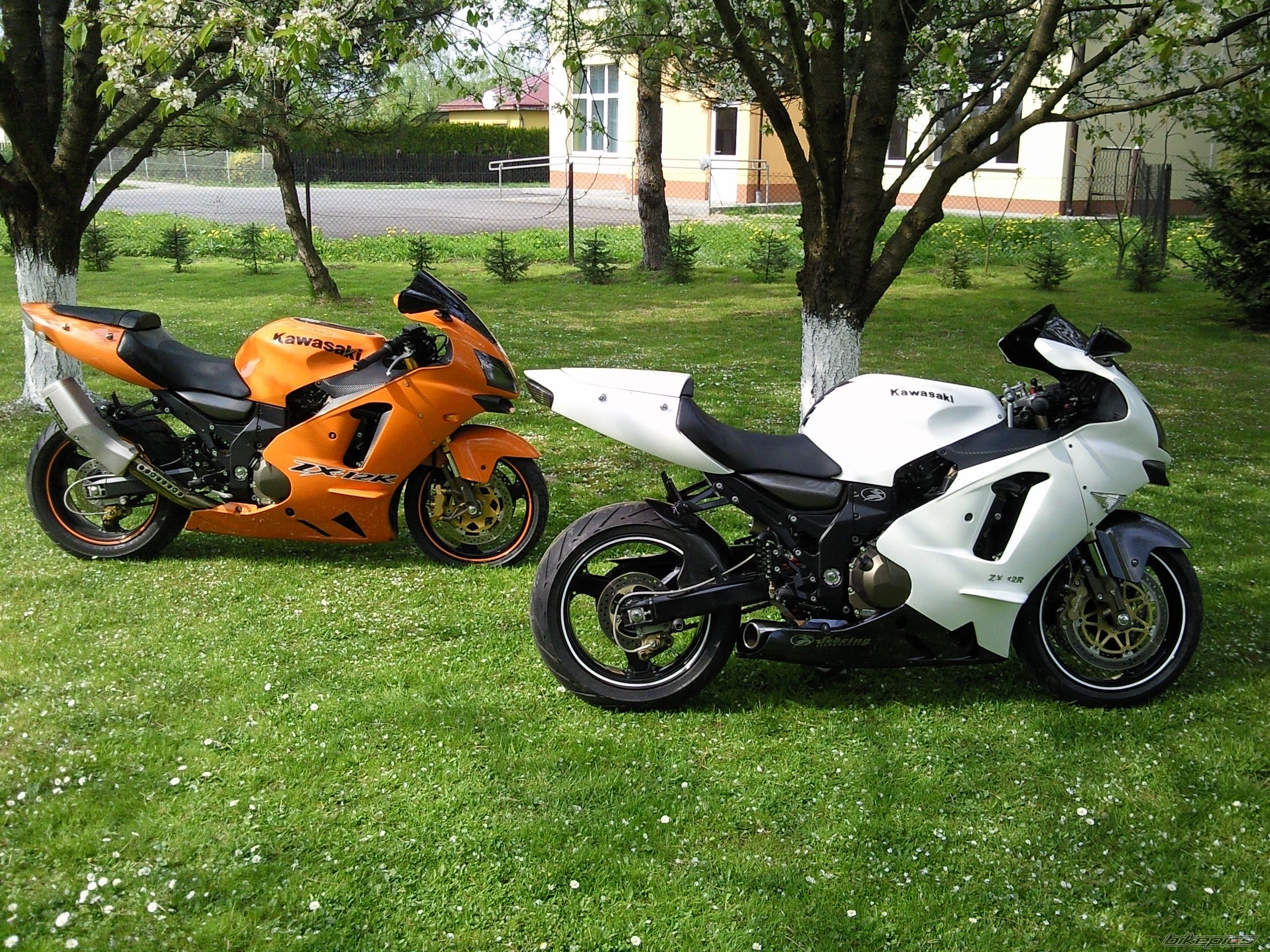 Photo 2298604