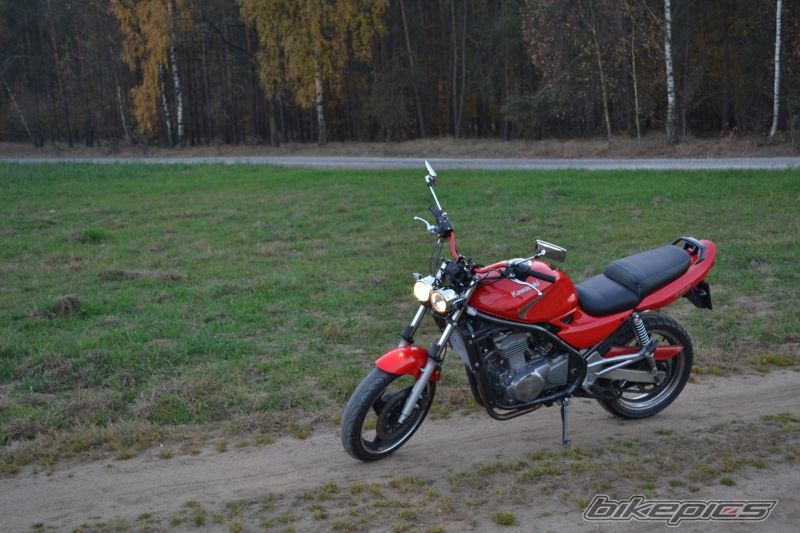 Photo 2298650