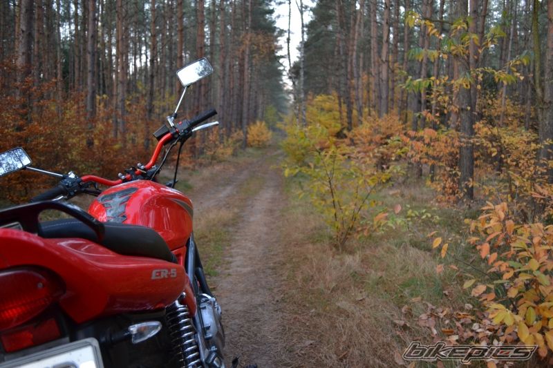 Photo 2298653
