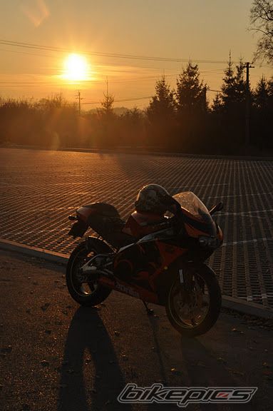 Photo 2298679