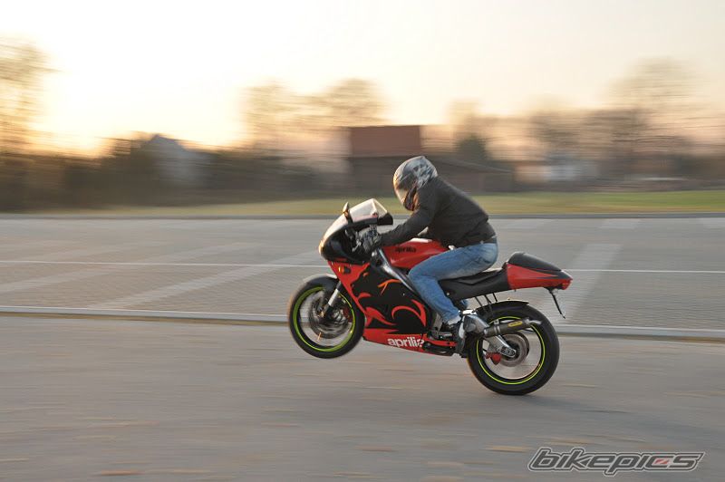 Photo 2298680