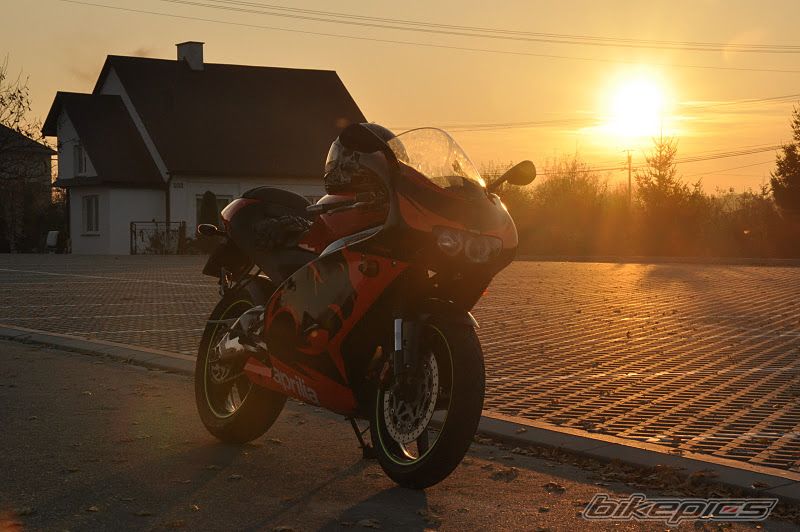 Photo 2298681