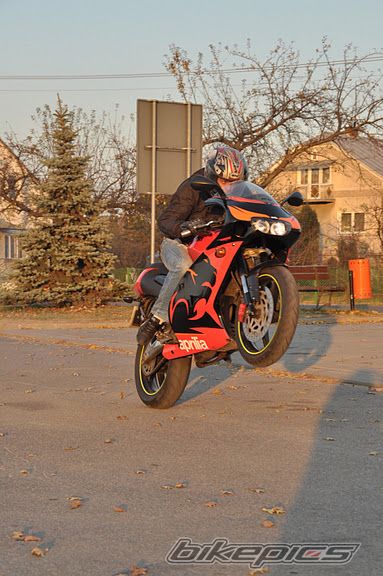 Photo 2298682