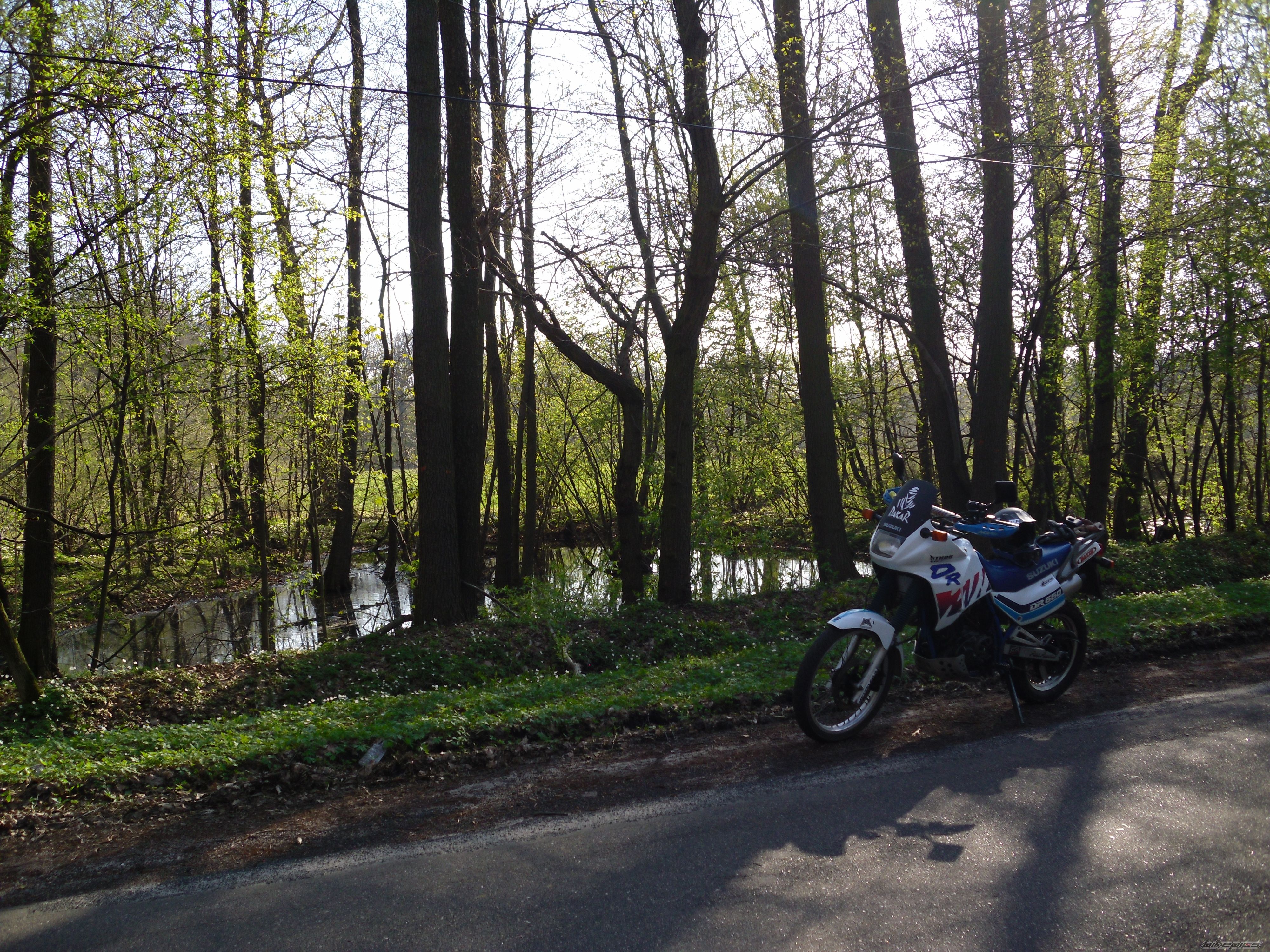 Photo 2298781