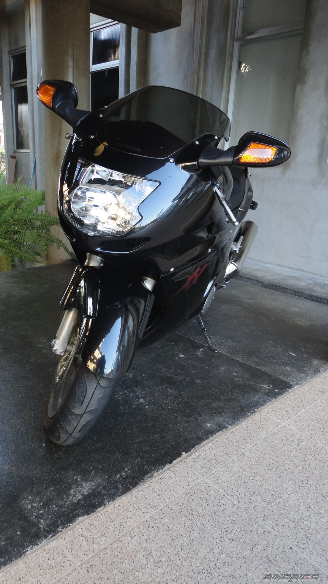 Photo 2298894