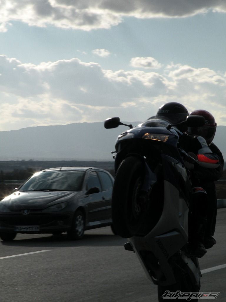 Photo 2298925