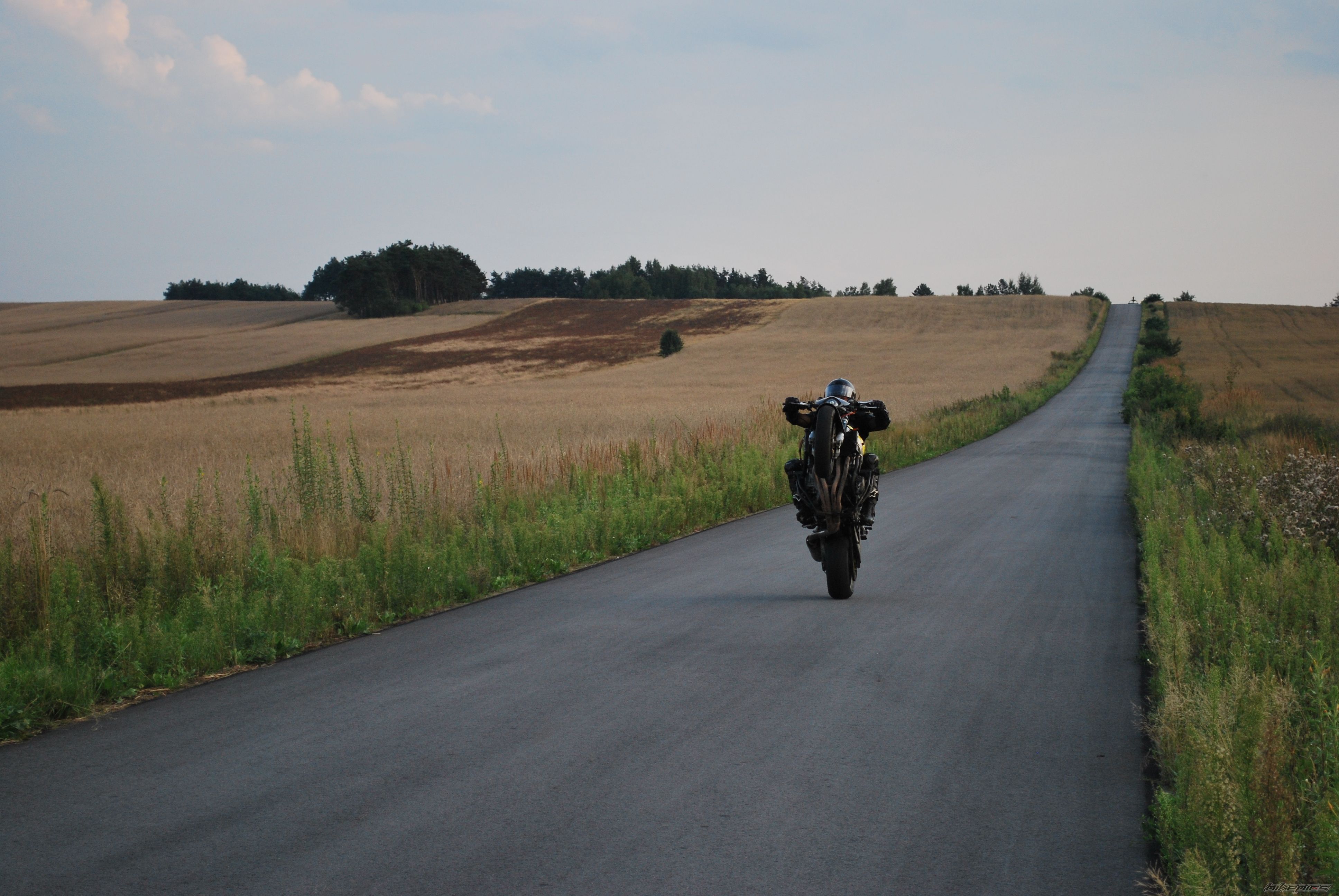 Photo 2299073
