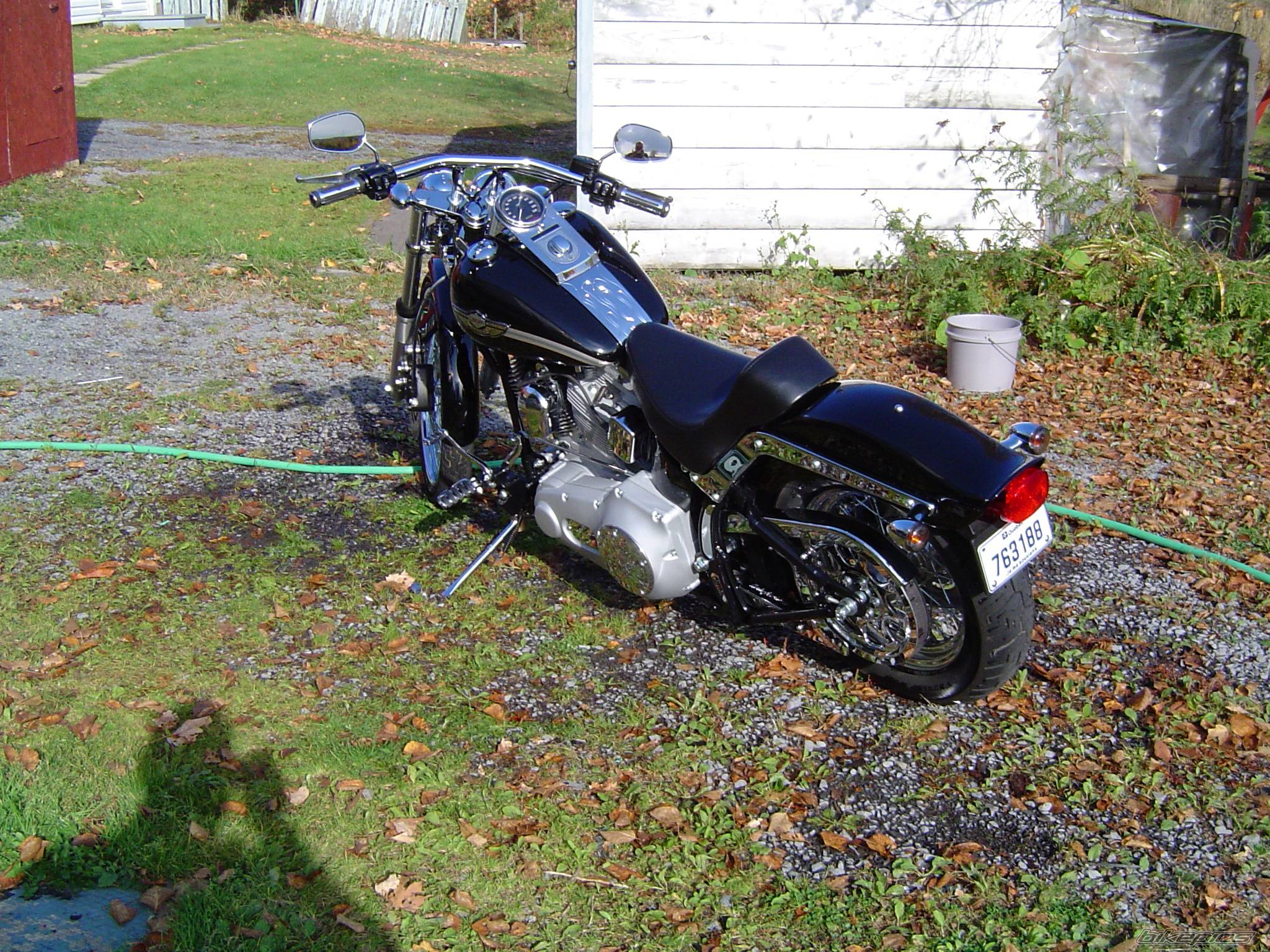 Photo 229908