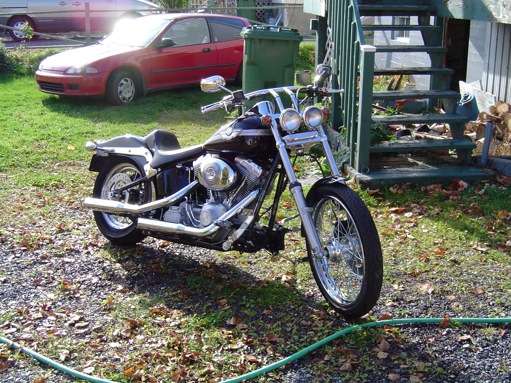 Photo 229910