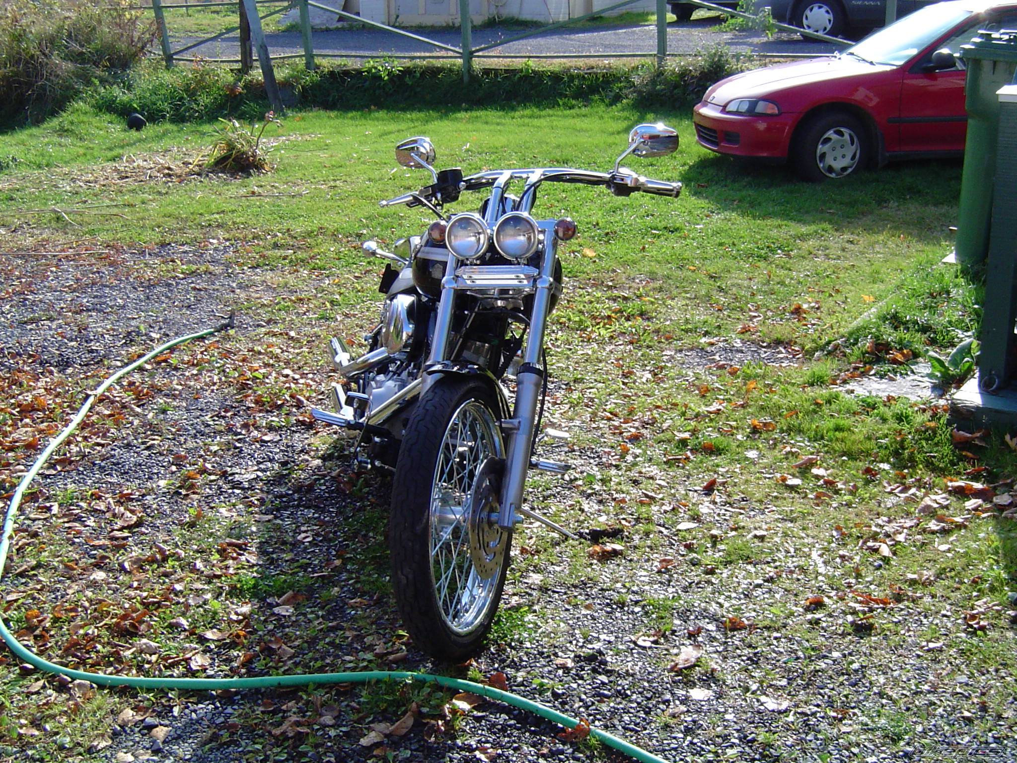 Photo 229912