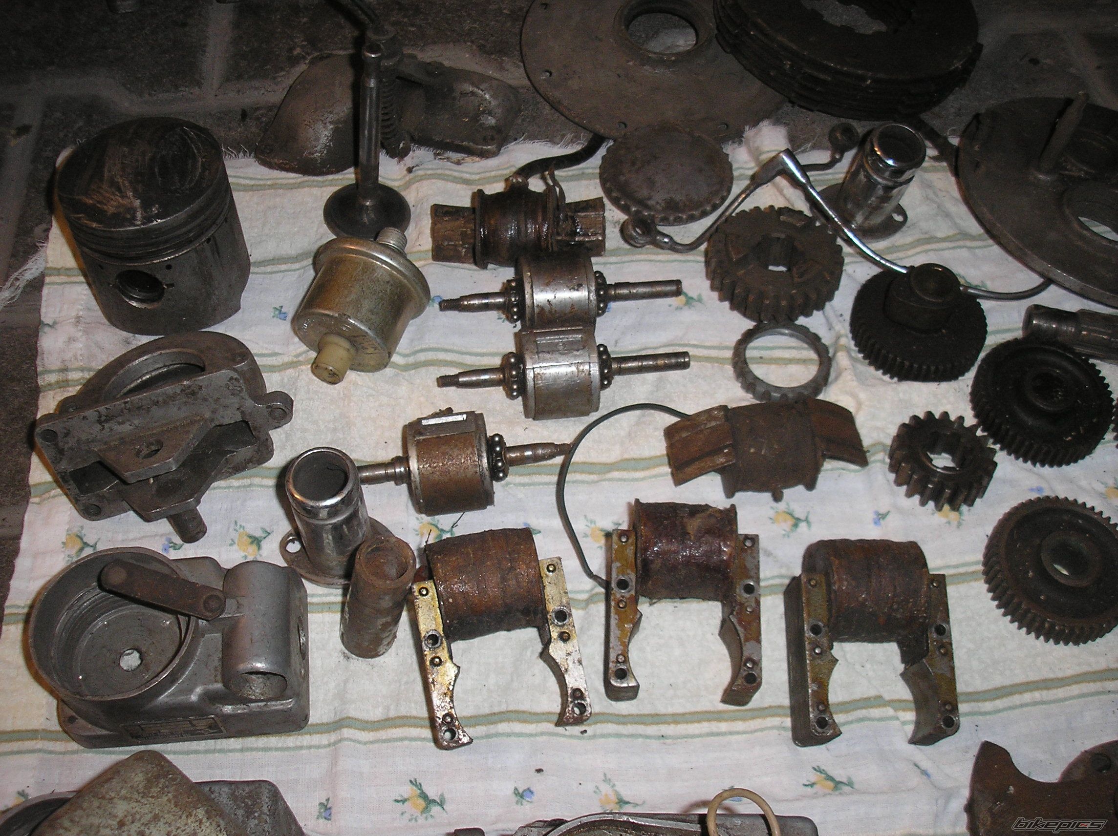 Photo 2299134