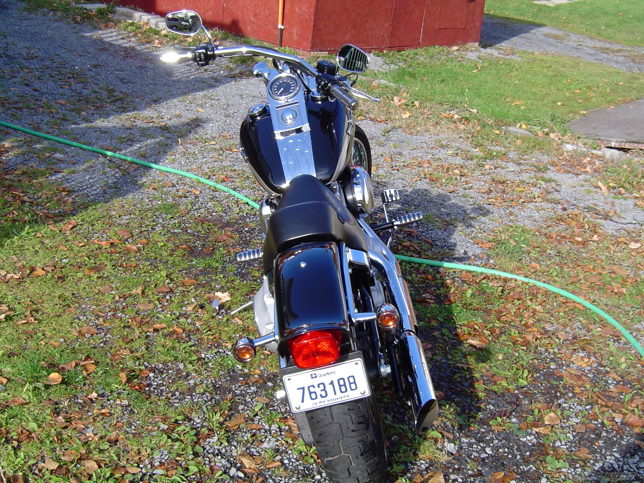Photo 229914