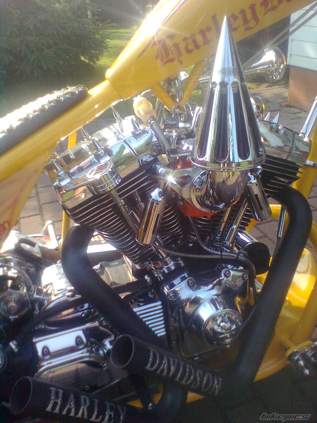 Photo 2299278