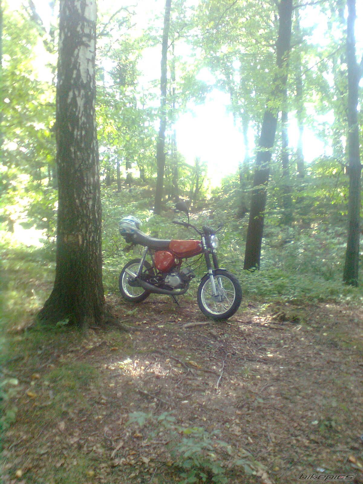 Photo 2299293