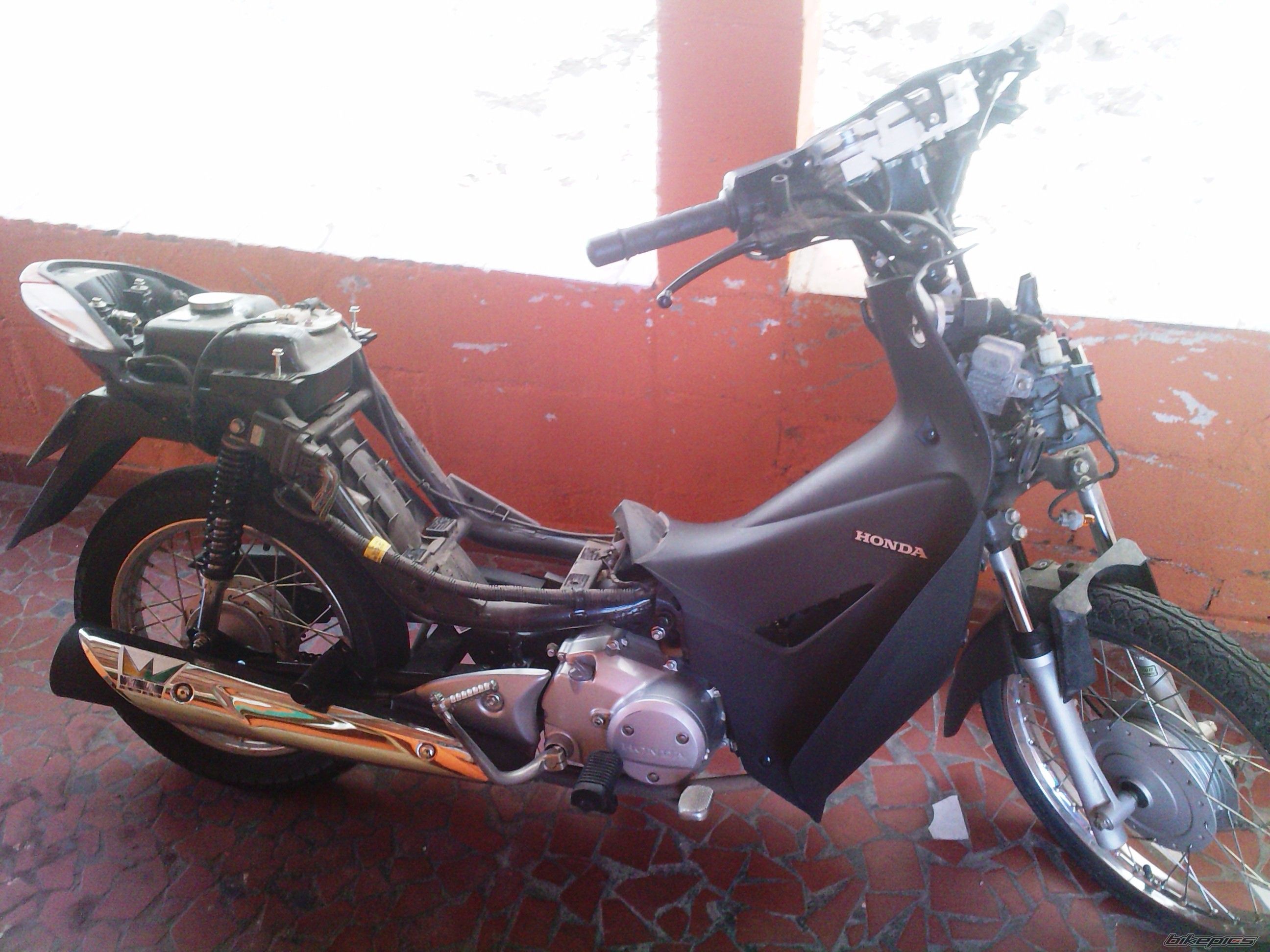 Photo 2299323