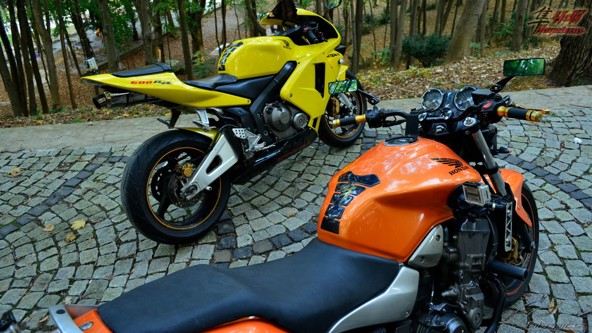 Photo 2299350
