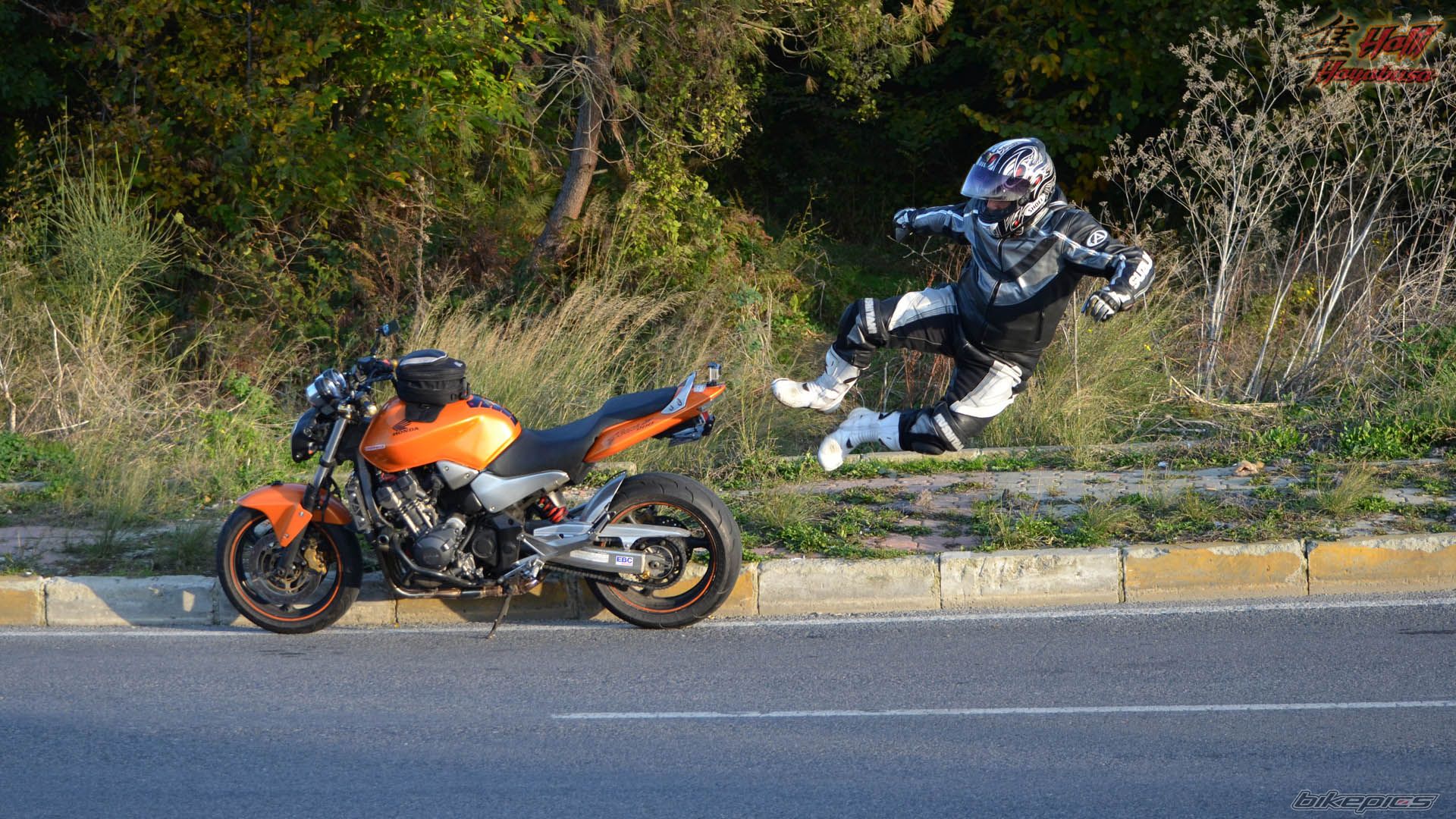 Photo 2299384