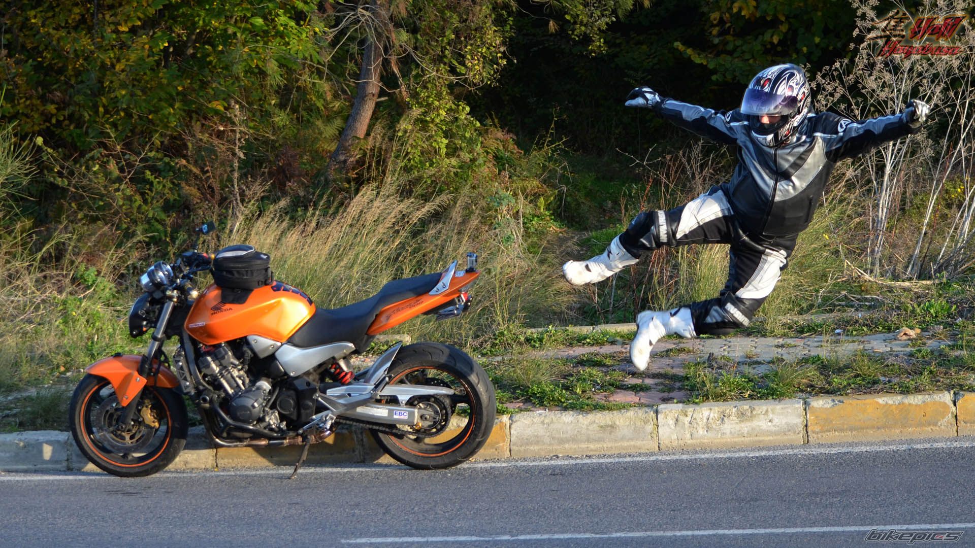 Photo 2299385
