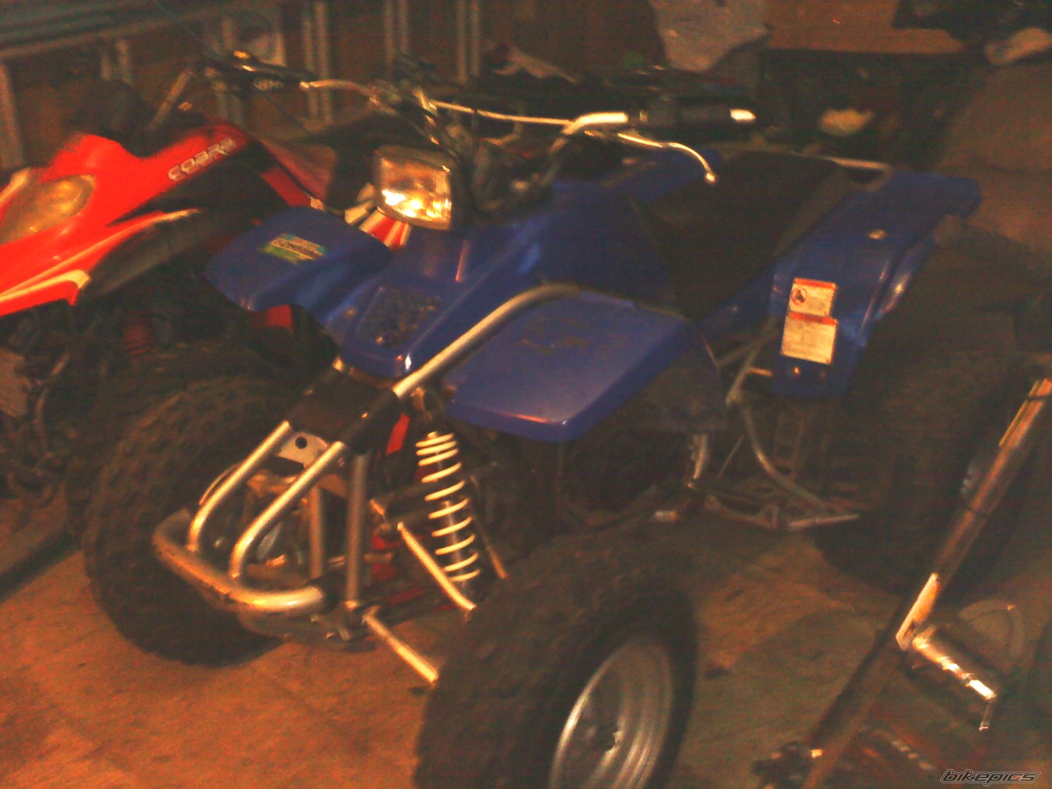 Photo 2299416
