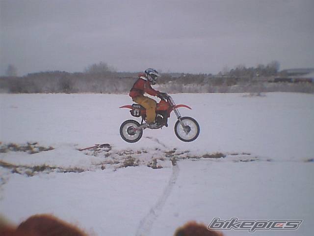 Photo 229943