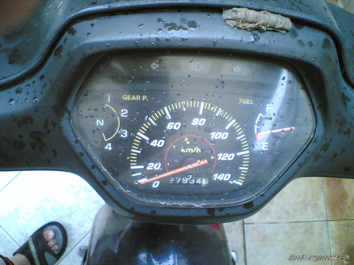 Photo 2299434