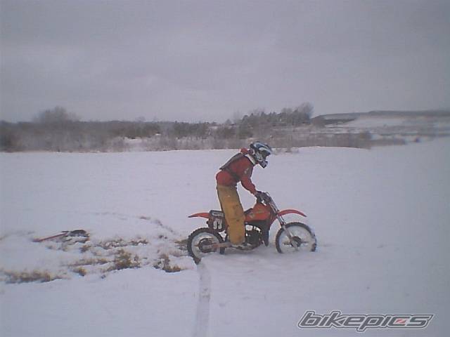 Photo 229945