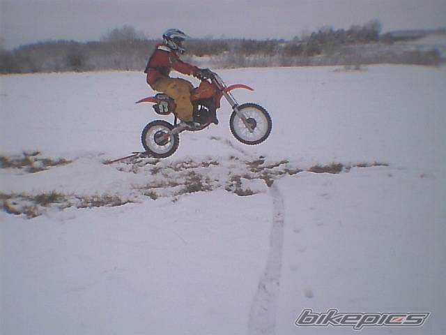 Photo 229948