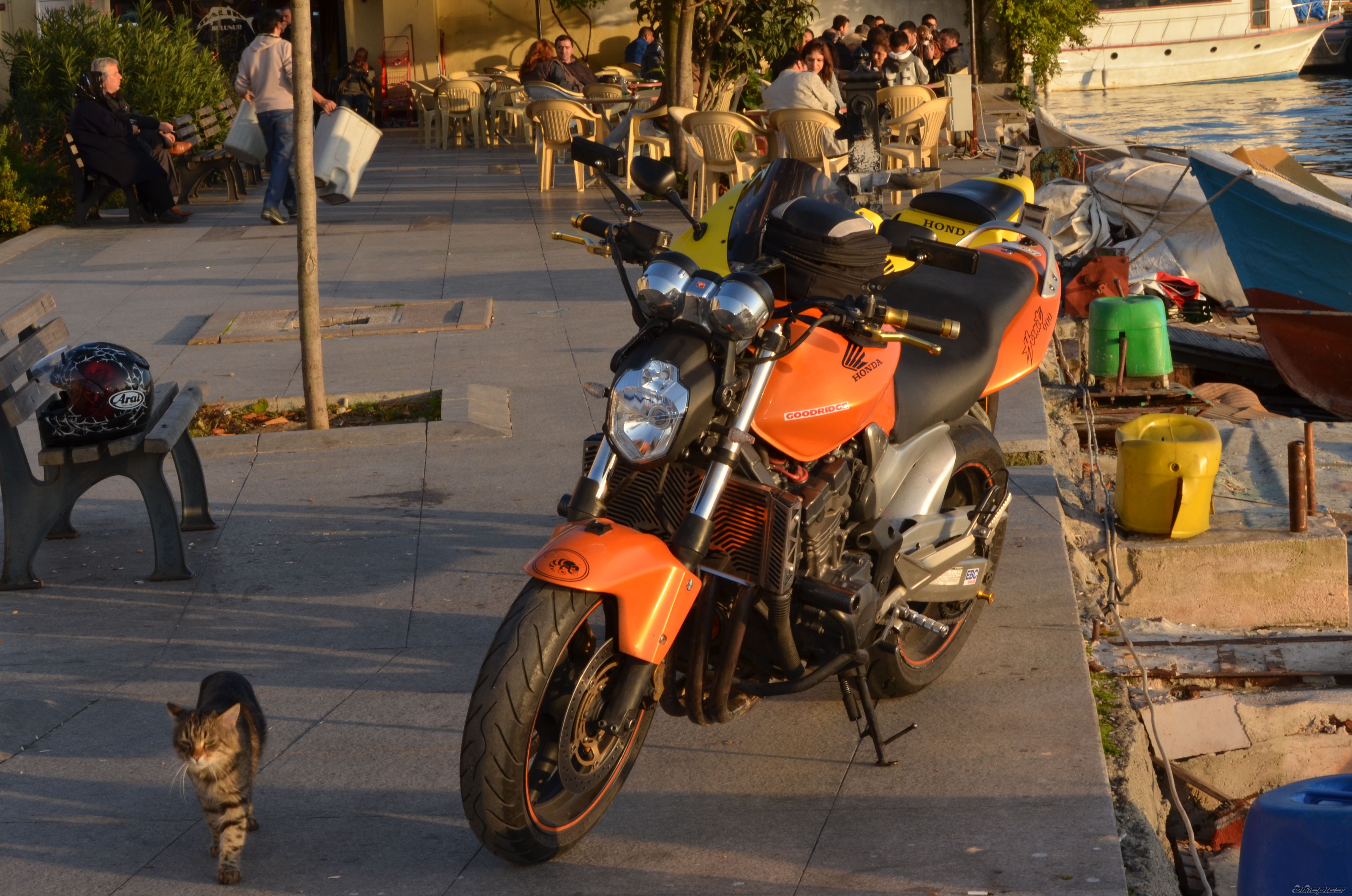 Photo 2299644